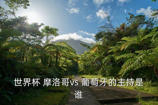 世界杯 摩洛哥vs 葡萄牙的主持是誰
