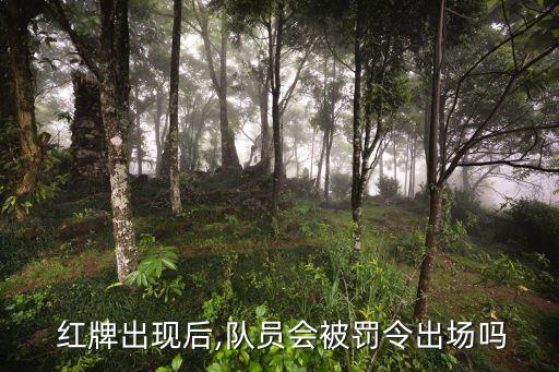  紅牌出現(xiàn)后,隊(duì)員會(huì)被罰令出場(chǎng)嗎