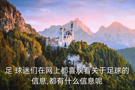 國足球迷qq群,現(xiàn)場國足球迷懵了