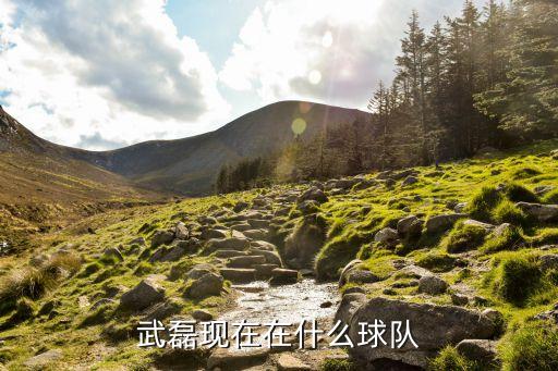 武磊現(xiàn)在在什么球隊