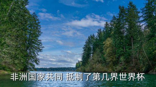 非洲國家共同 抵制了第幾界世界杯