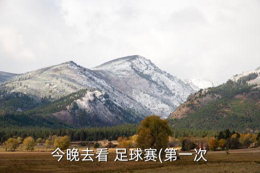 今晚去看 足球賽(第一次