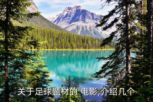 關(guān)于足球題材的 電影,介紹幾個(gè)