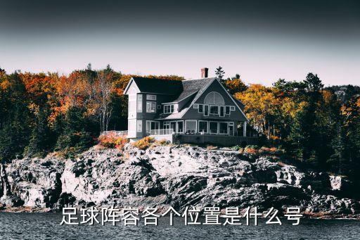  足球陣容各個(gè)位置是什么號(hào)