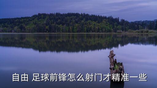 自由 足球前鋒怎么射門才精準(zhǔn)一些