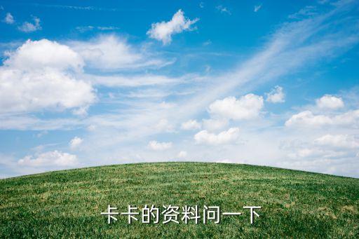  卡卡的資料問一下