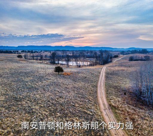  南安普頓和格林斯那個實力強