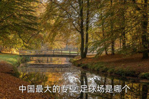 中國最大的專業(yè) 足球場是哪個