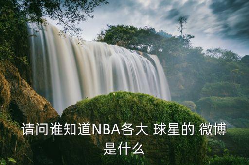 請問誰知道NBA各大 球星的 微博是什么