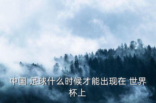 中國 足球什么時候才能出現(xiàn)在 世界杯上
