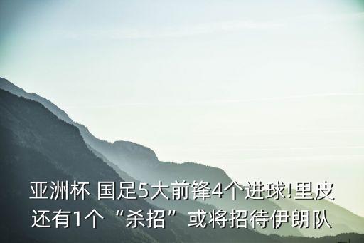 國足球員肖智的言論