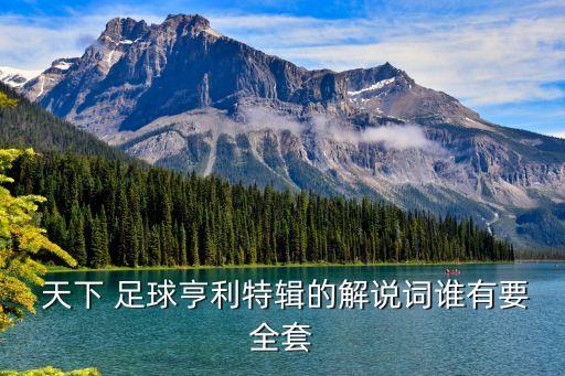  天下 足球亨利特輯的解說詞誰有要全套
