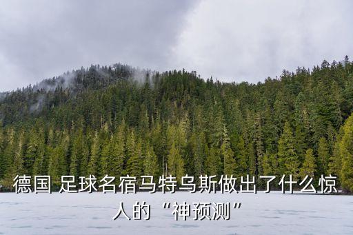 德國(guó) 足球名宿馬特烏斯做出了什么驚人的“神預(yù)測(cè)”