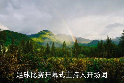 足球賽愛心講話,愛心人士講話的內(nèi)容