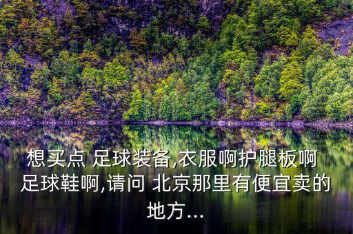 想買點(diǎn) 足球裝備,衣服啊護(hù)腿板啊 足球鞋啊,請(qǐng)問 北京那里有便宜賣的地方...