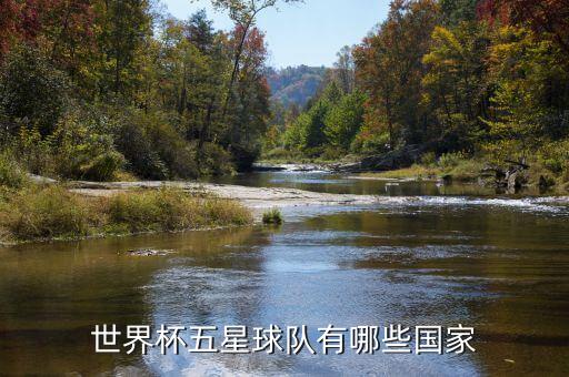 世界杯五星球隊(duì)有哪些國家