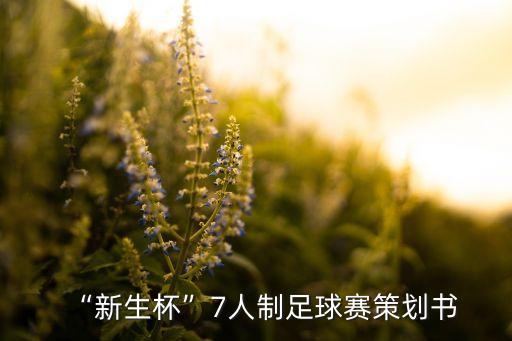 “新生杯”7人制足球賽策劃書