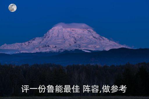 山東魯能足球隊(duì)主力陣容