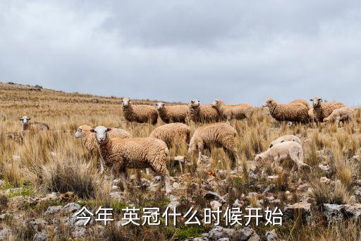 今年 英冠什么時候開始