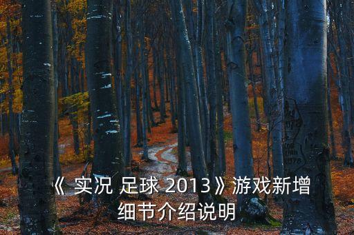 實(shí)況足球2013