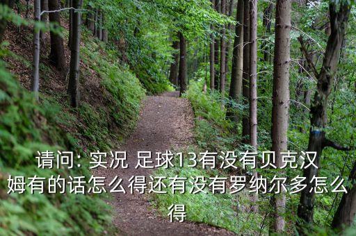 請問: 實(shí)況 足球13有沒有貝克漢姆有的話怎么得還有沒有羅納爾多怎么得
