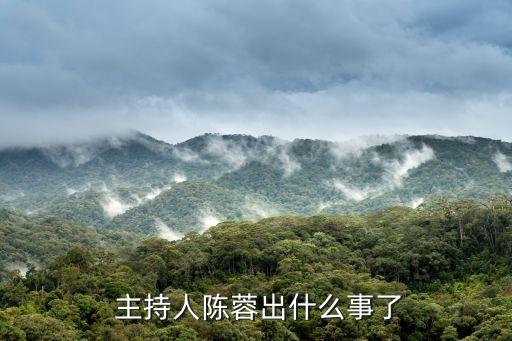  主持人陳蓉出什么事了