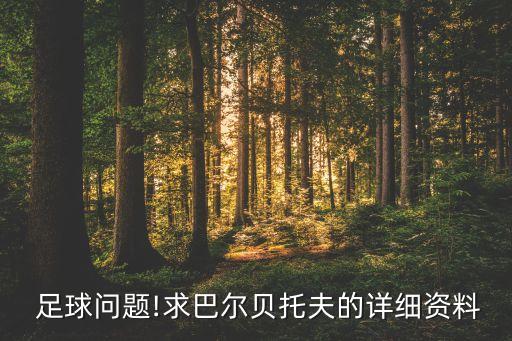  足球問題!求巴爾貝托夫的詳細(xì)資料
