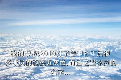 我的 實(shí)況2010打了德甲補丁后很多球員的臉接近灰色,而且這些球員的名字...