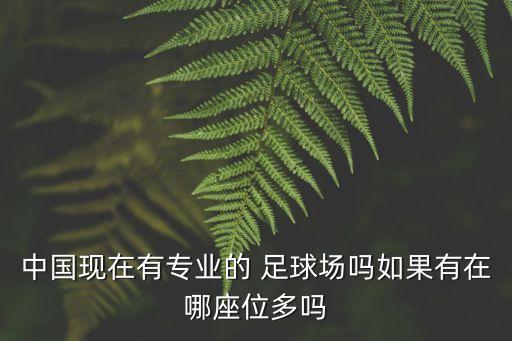 中國現(xiàn)在有專業(yè)的 足球場嗎如果有在哪座位多嗎