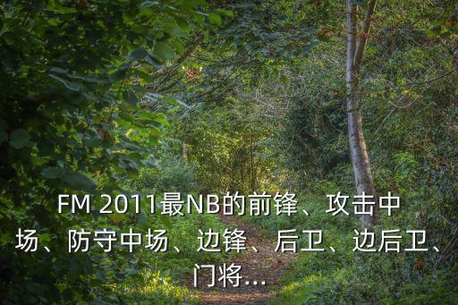 FM 2011最NB的前鋒、攻擊中場(chǎng)、防守中場(chǎng)、邊鋒、后衛、邊后衛、門(mén)將...