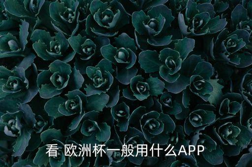 看 歐洲杯一般用什么APP