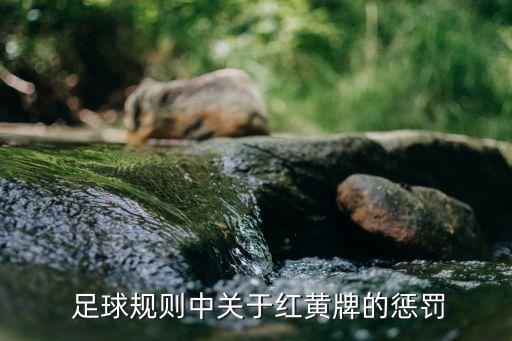  足球規(guī)則中關于紅黃牌的懲罰
