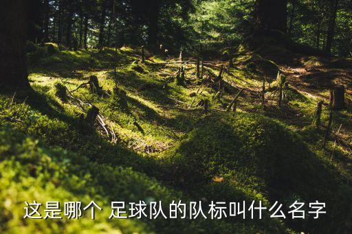 這是哪個 足球隊的隊標(biāo)叫什么名字