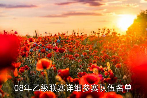08年乙級(jí)聯(lián)賽詳細(xì)參賽隊(duì)伍名單