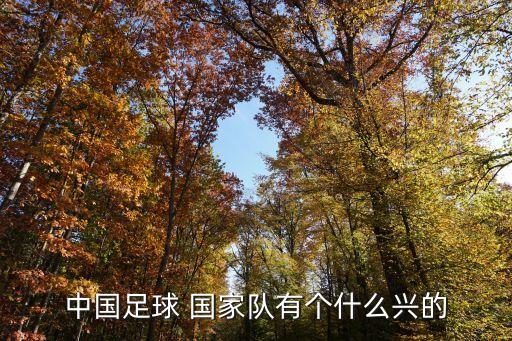 1958年中國(guó)國(guó)家足球隊(duì),2000年中國(guó)國(guó)家足球隊(duì)