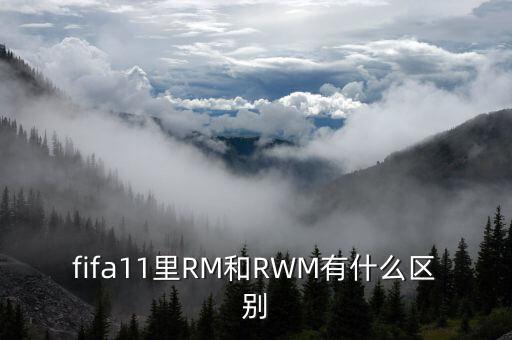 fifa11里RM和RWM有什么區(qū)別