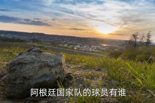 阿根廷現(xiàn)任足球隊員