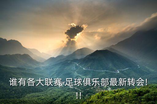 誰有各大聯(lián)賽 足球俱樂部最新轉(zhuǎn)會!!!