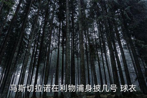 馬斯切拉諾在利物浦身披幾號 球衣