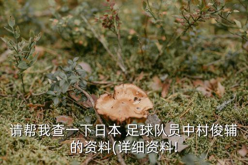 請(qǐng)幫我查一下日本 足球隊(duì)員中村俊輔的資料(詳細(xì)資料!