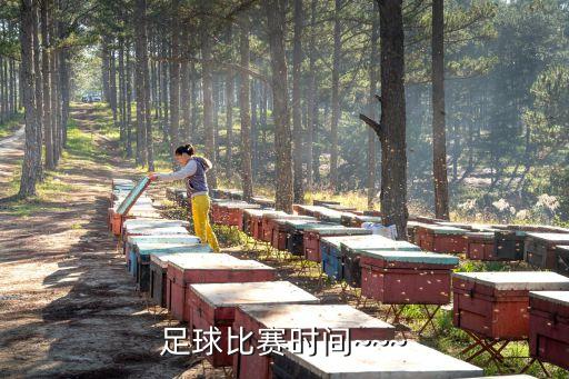 足球比賽時間~~~
