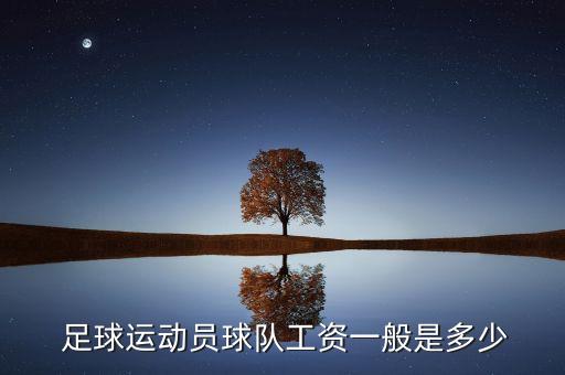  足球運動員球隊工資一般是多少