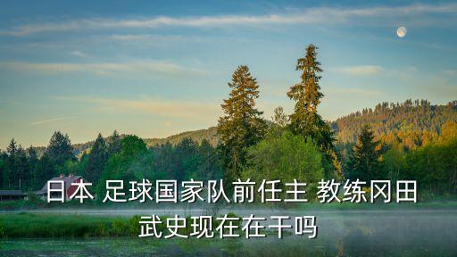  日本 足球國家隊前任主 教練岡田武史現(xiàn)在在干嗎