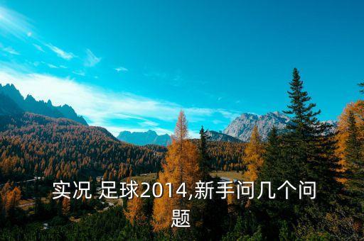  實況 足球2014,新手問幾個問題