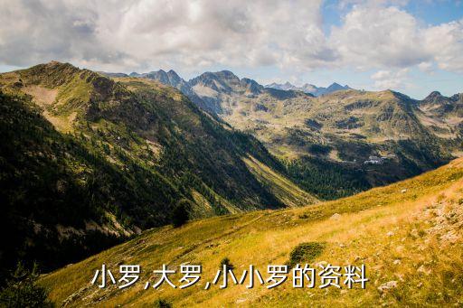 冰島第一支足球,冰島足球為什么這么厲害