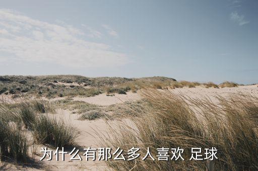 喜歡足球的人