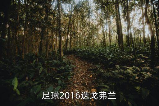 實(shí)況足球2016迭戈弗蘭