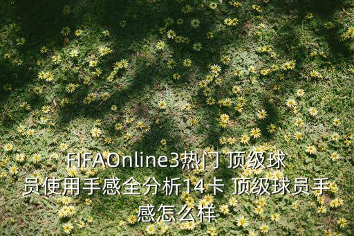 足球online3頂級后衛