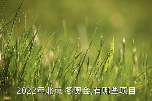 2022年北京 冬奧會(huì),有哪些項(xiàng)目