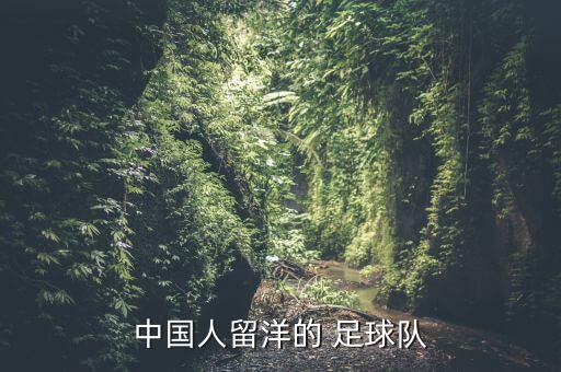 楊挺足球運(yùn)動(dòng)員